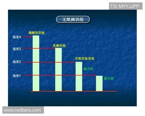 西安羽毛球队战术解析与其他球队的对比分析探讨